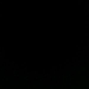 Meet your Posher, Lavell